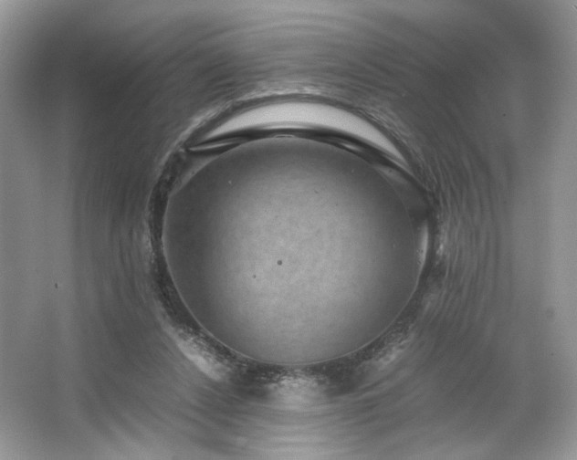X0000063440256200601231333