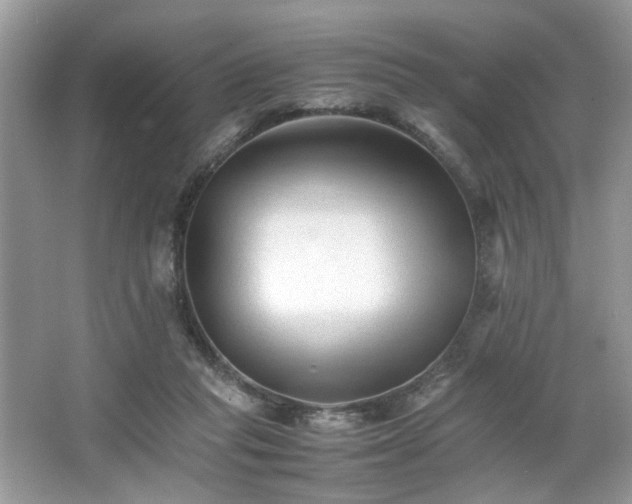 X0000063440261200601231333