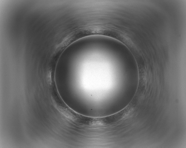 X0000063440262200601231333
