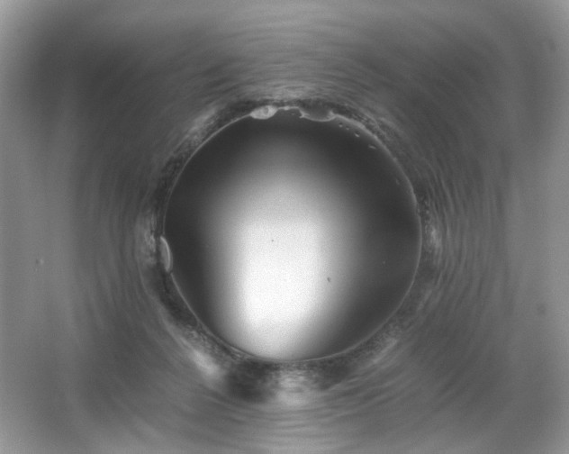 X0000063440264200601231333
