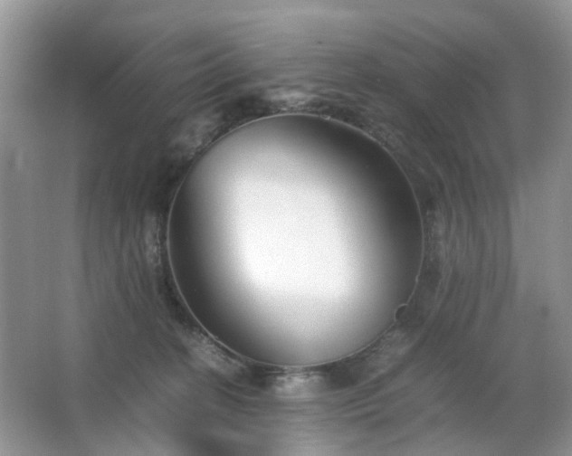 X0000063440274200601231333