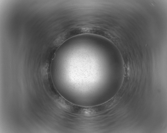 X0000063440275200601231334