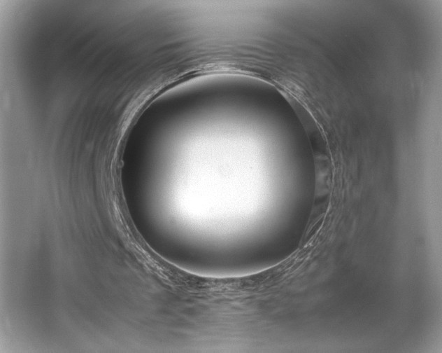 X0000063440289200601231333