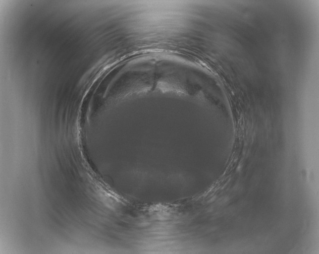 X0000063440290200601231333