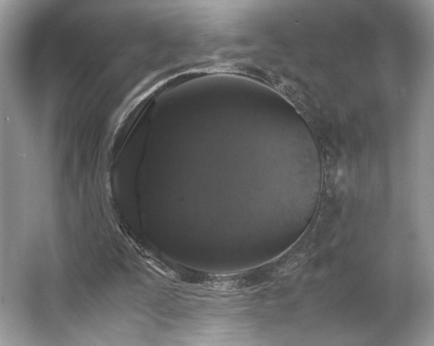 X0000063440295200601231333