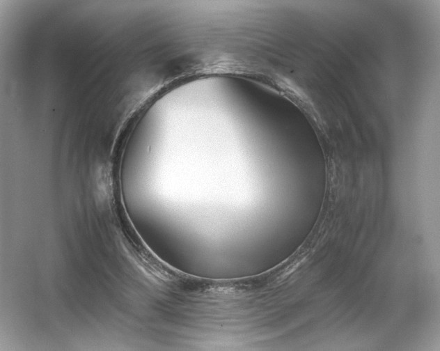 X0000063440298200601231333