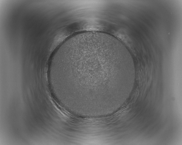 X0000063440299200601231333