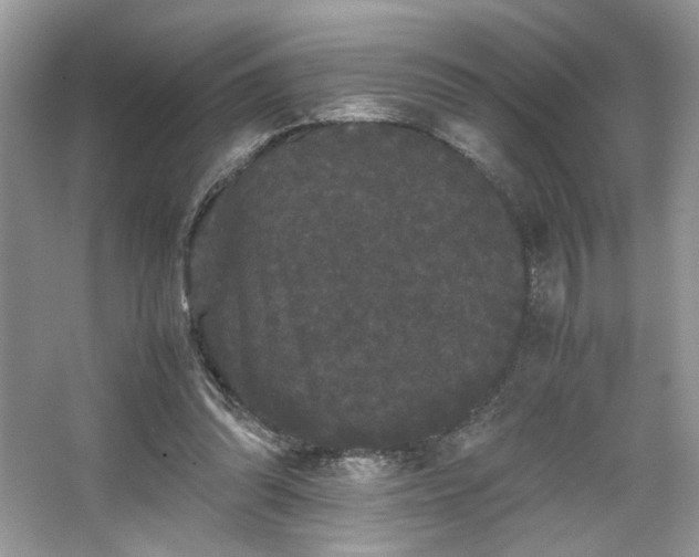 X0000063440302200601231333