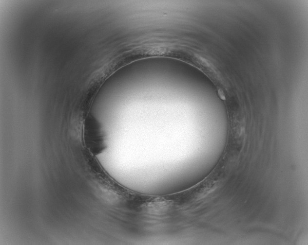 X0000063440307200601231333