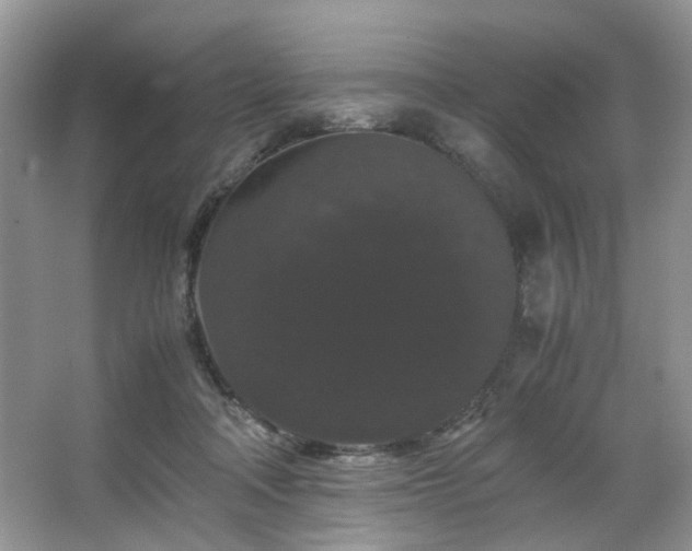 X0000063440314200601231332