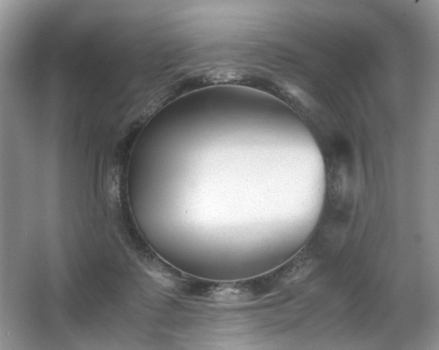 X0000063440315200601231332