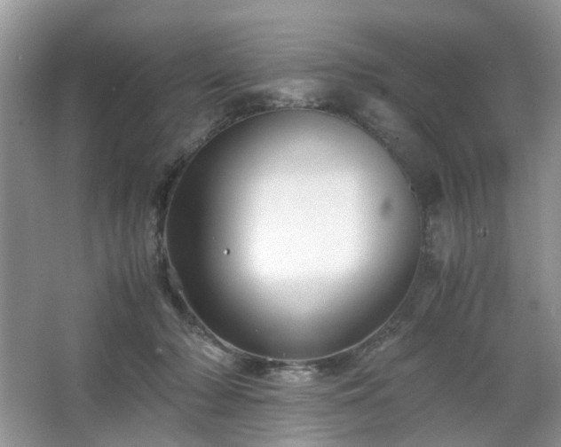 X0000063440318200601231332