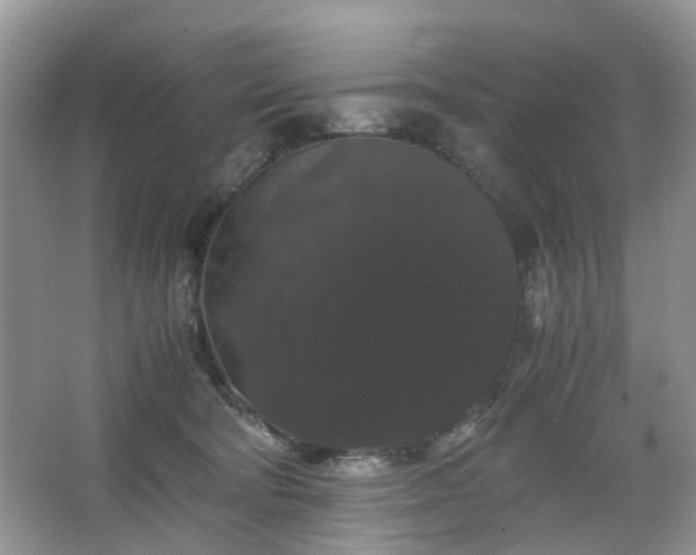 X0000063440322200601231332
