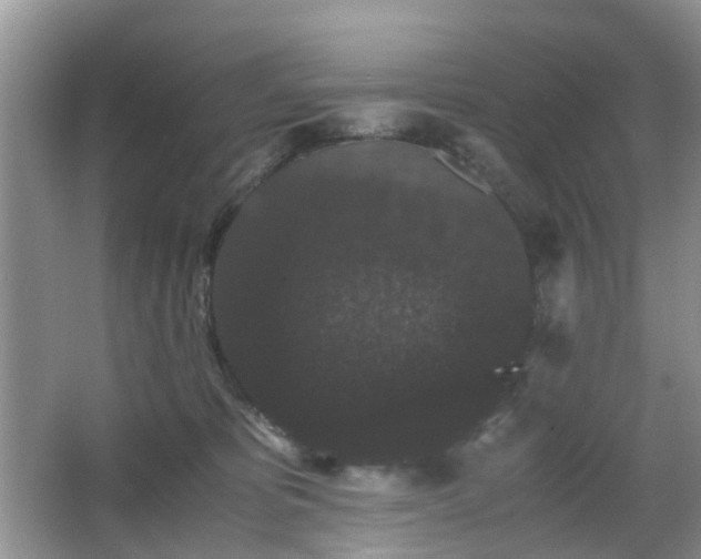 X0000063440325200601231332