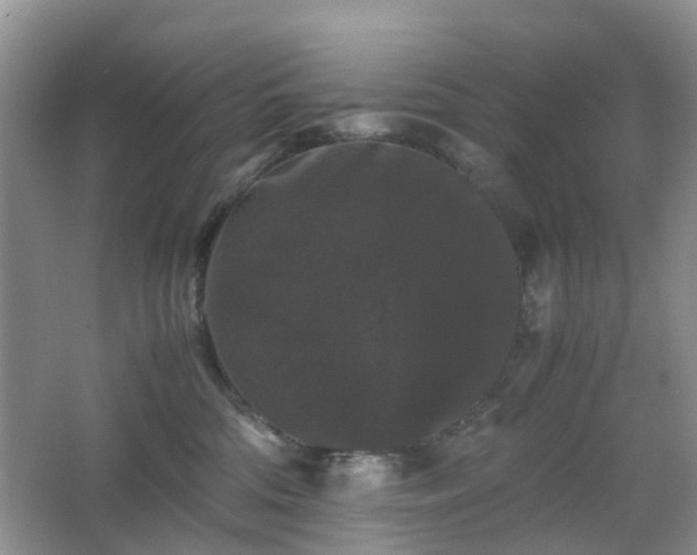 X0000063440330200601231332