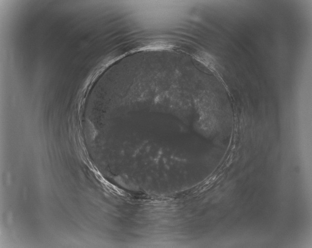 X0000063440337200601231331