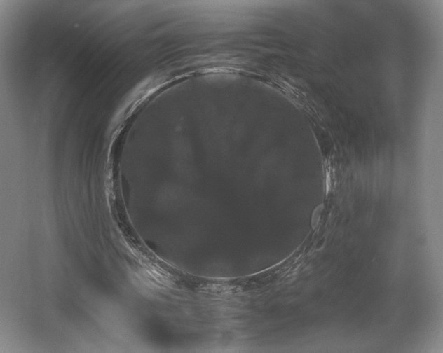 X0000063440339200601231331