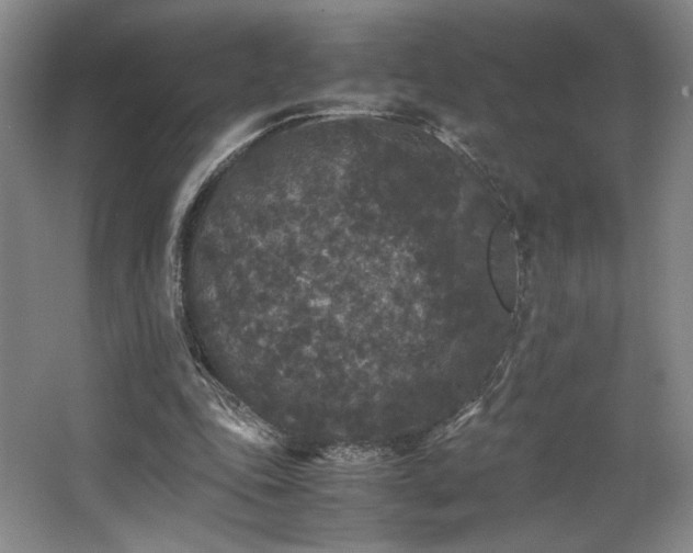 X0000063440343200601231331