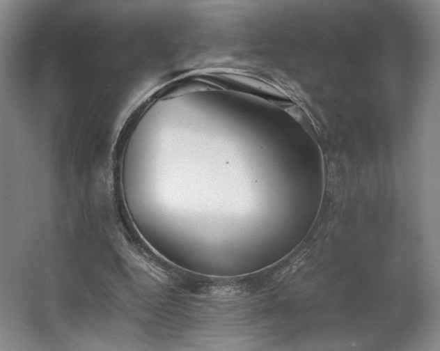 X0000063440344200601231331