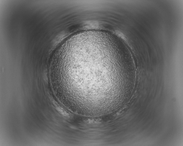 X0000063440345200601231331