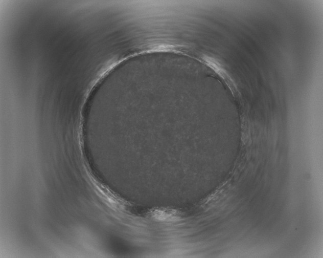X0000063440346200601231331