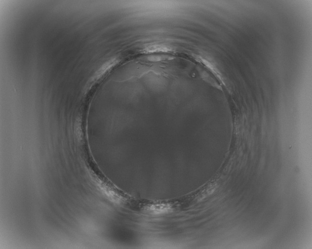 X0000063440353200601231332