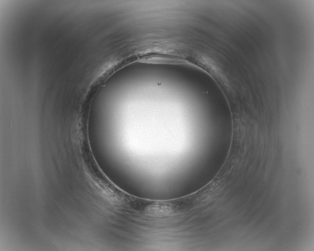 X0000063440354200601231332