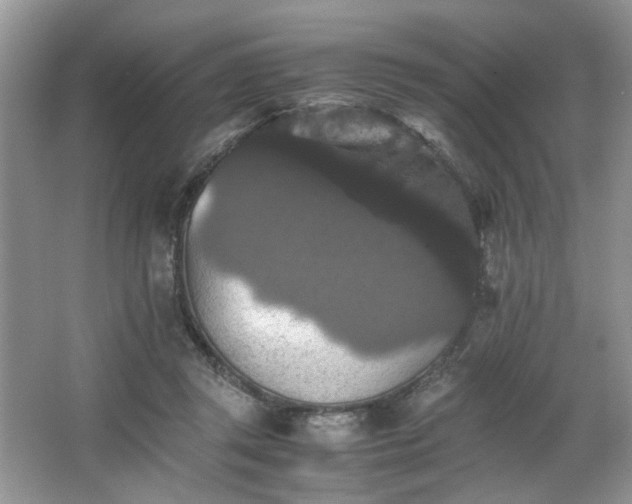 X0000063440357200601231332