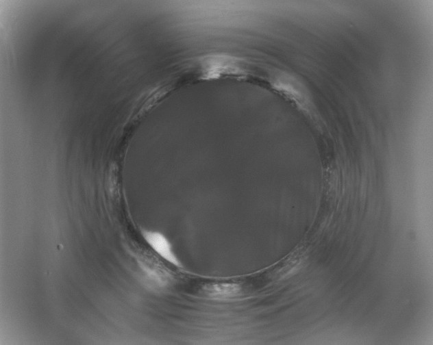 X0000063440361200601231332
