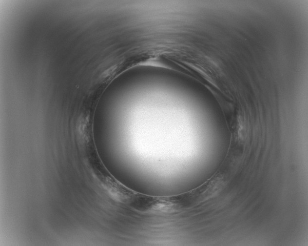 X0000063440364200601231332