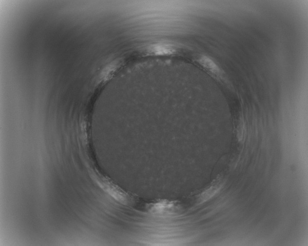 X0000063440366200601231332