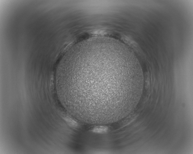 X0000063440369200601231332
