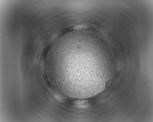 X0000063440375200601231332