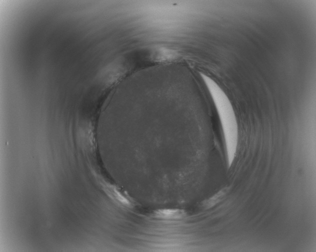 X0000063440380200601231332