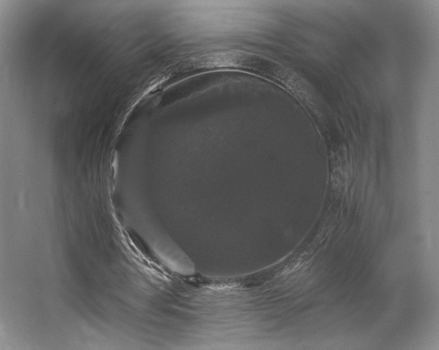 X0000063440386200601231331