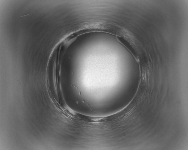 X0000063440388200601231331