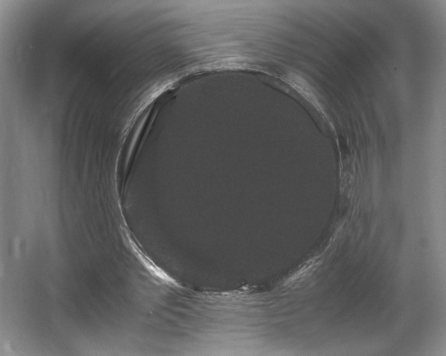 X0000063440389200601231331