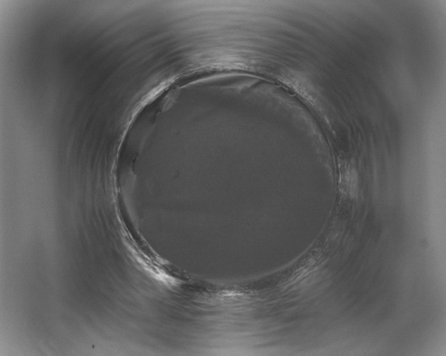 X0000063440390200601231331