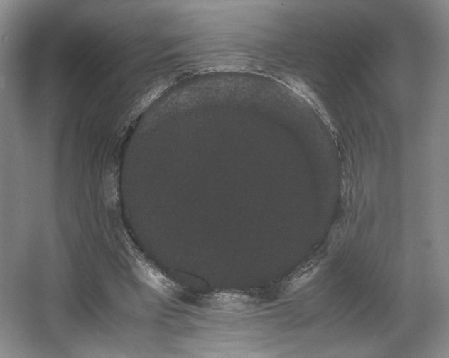 X0000063440393200601231331
