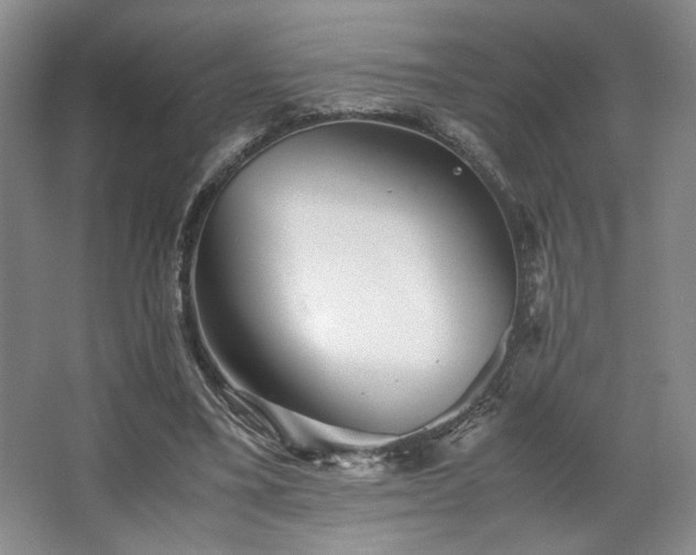 X0000063440395200601231331