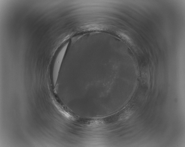 X0000063440398200601231331