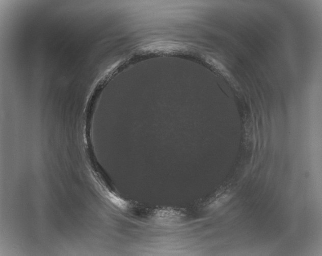 X0000063440399200601231331