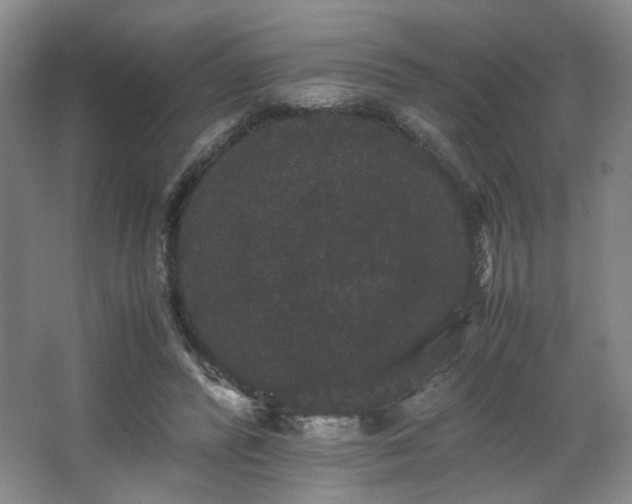 X0000063440400200601231331