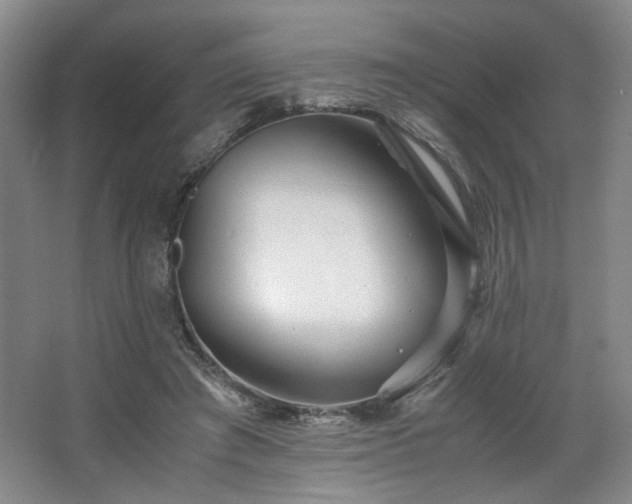 X0000063440401200601231331