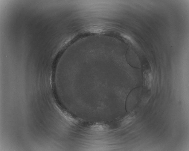 X0000063440404200601231331
