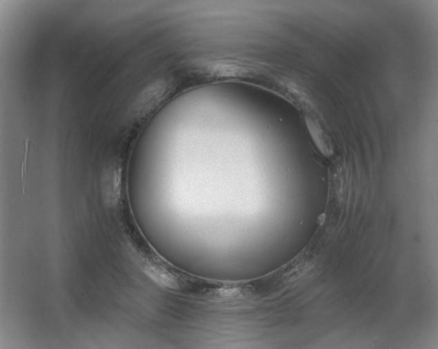 X0000063440406200601231331