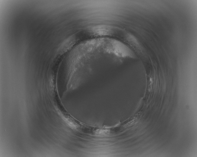 X0000063440410200601231331