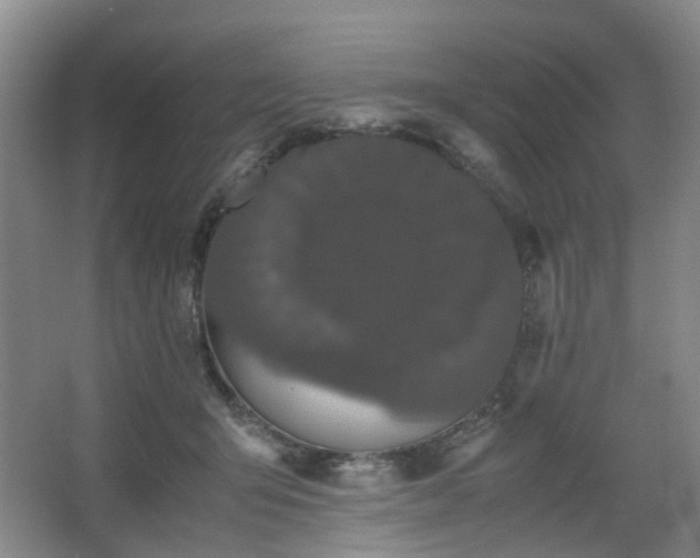 X0000063440415200601231331