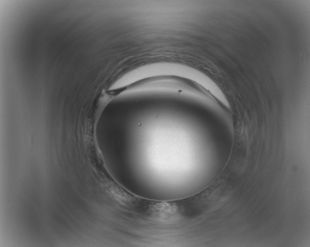 X0000063440421200601231331