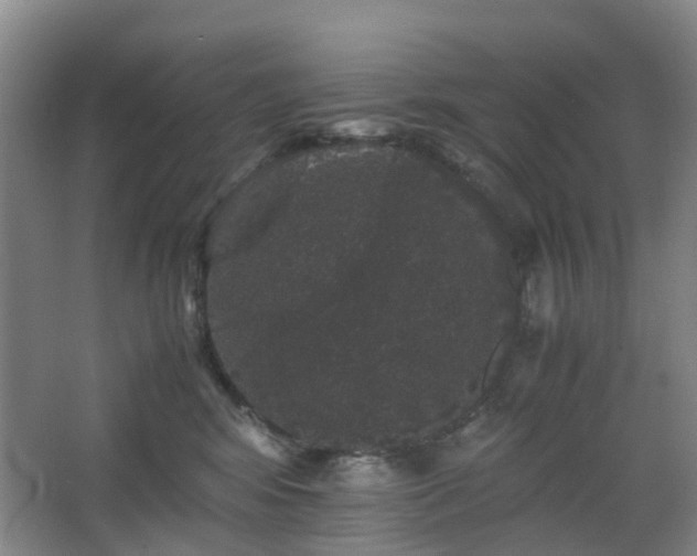 X0000063440424200601231331